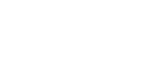 Gemini Business Funding